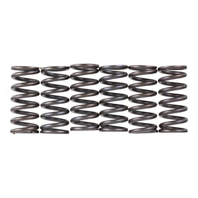 Premier Clutch Springs - Heavy Duty