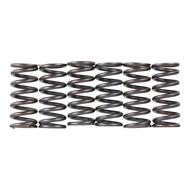 Premier Clutch Springs - Heavy Duty