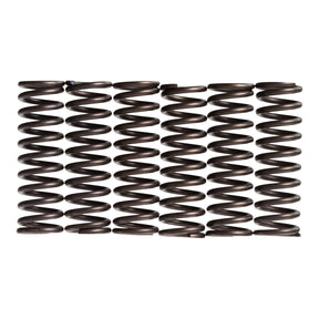 Premier Clutch Springs - Heavy Duty