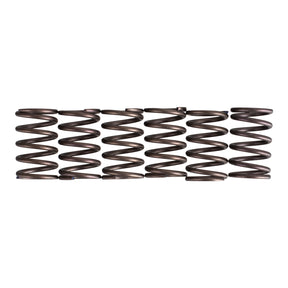 Premier Clutch Springs - Heavy Duty