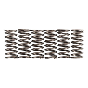 Premier Clutch Springs - Heavy Duty