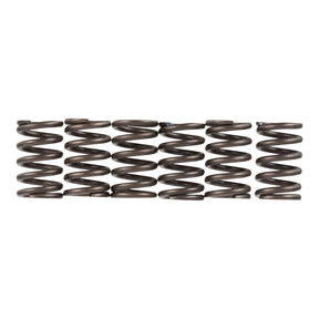 Premier Clutch Springs - Heavy Duty