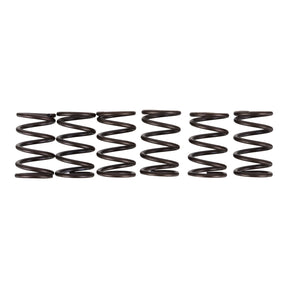 Premier Clutch Springs - Heavy Duty