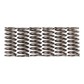 Premier Clutch Springs - Heavy Duty