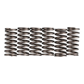 Premier Clutch Springs - Heavy Duty