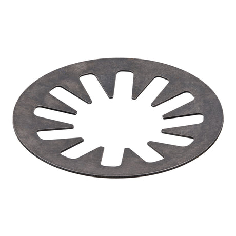 Premier Clutch Springs - Diaphragm Type