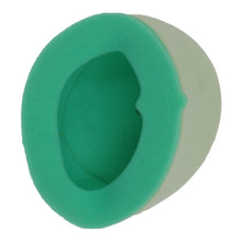 Load image into Gallery viewer, Putoline Air Filter - YA2317