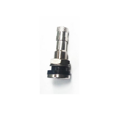 Tubeless Valve Bolt In