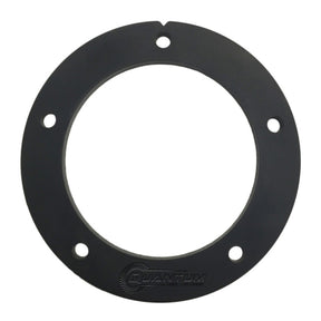Quantum Fuel Pump Seal Gasket