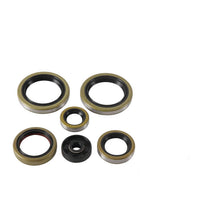Load image into Gallery viewer, Oil Seal Kit 822370