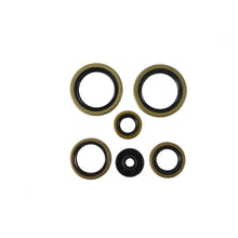 Load image into Gallery viewer, Oil Seal Kit 822370