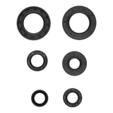Oil Seal Kit 822391