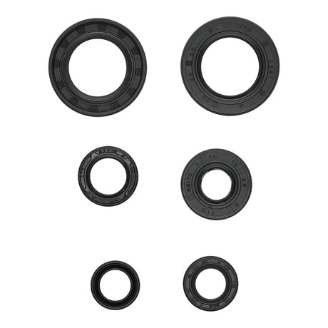 Oil Seal Kit 822391