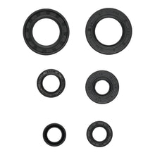 Load image into Gallery viewer, Oil Seal Kit 822391