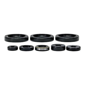 Oil Seal Kit 822403