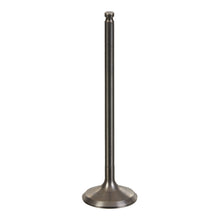 Load image into Gallery viewer, VERTEX VALVE INTAKE TITANIUM