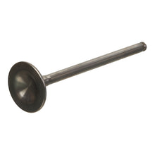 Load image into Gallery viewer, VERTEX VALVE EXHAUST TITANIUM