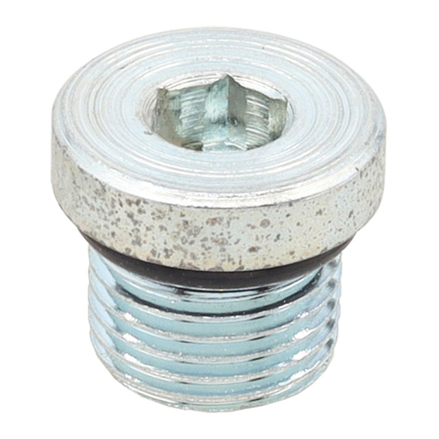 Whites Magnetic Drain Plug M16 x 12.6 - P1.5