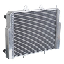 Load image into Gallery viewer, Whites ATV/UTV Radiator Pol 570/800 RZR