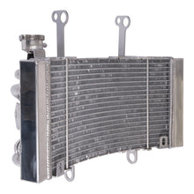 Load image into Gallery viewer, Whites Radiator - KTM / Husqvarna 450 Rally / FR450 Rally '19-'22