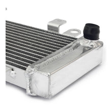 Load image into Gallery viewer, Whites Radiator Kawasaki Ninja 250R '09-'12