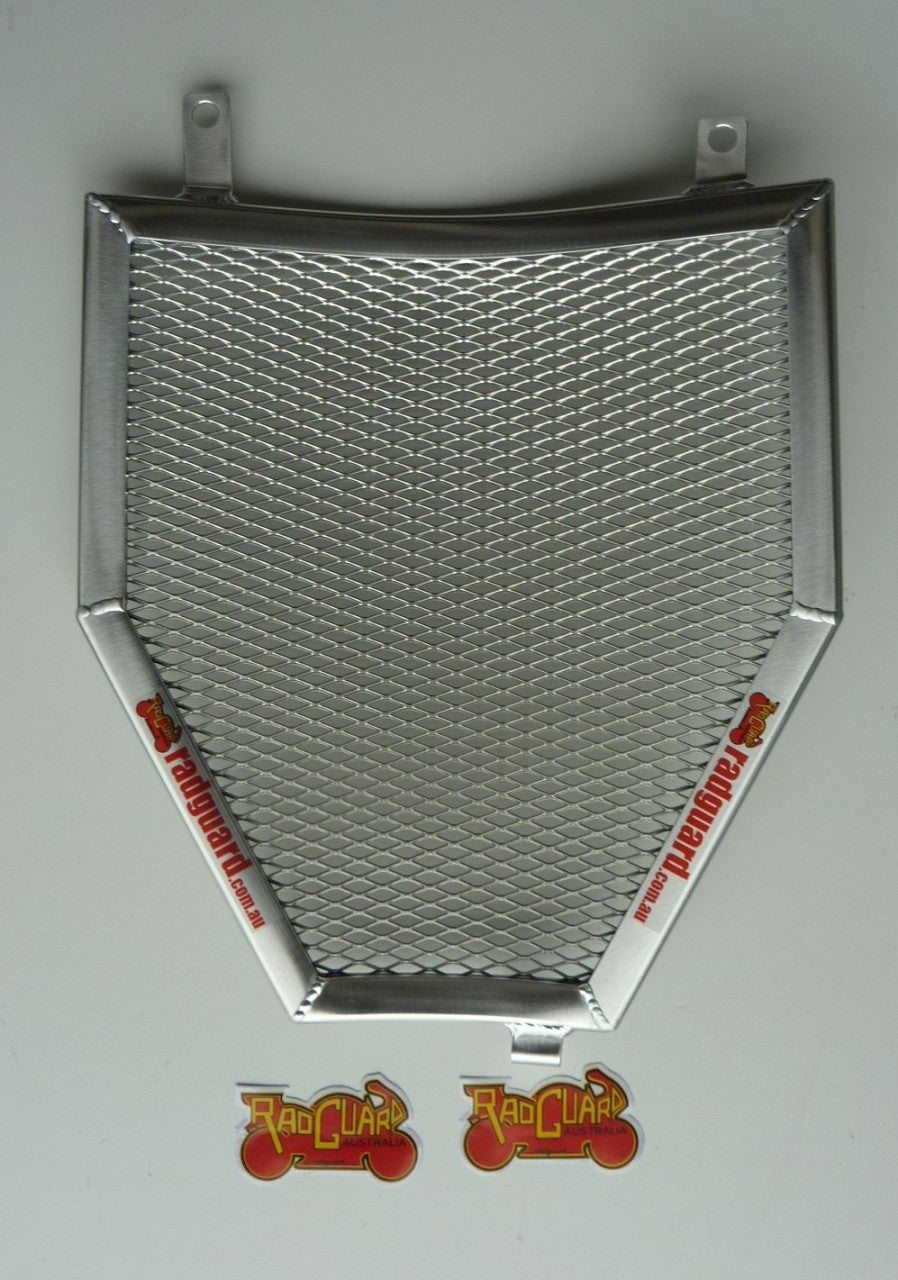 BMW K1600 B / GT / GTL 2011-2023 Radiator Guard Only