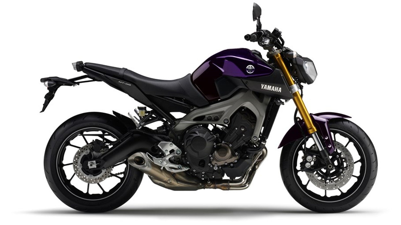 Yamaha MT-09 / FZ-09 / SP 2013-2020 Radiator Guard