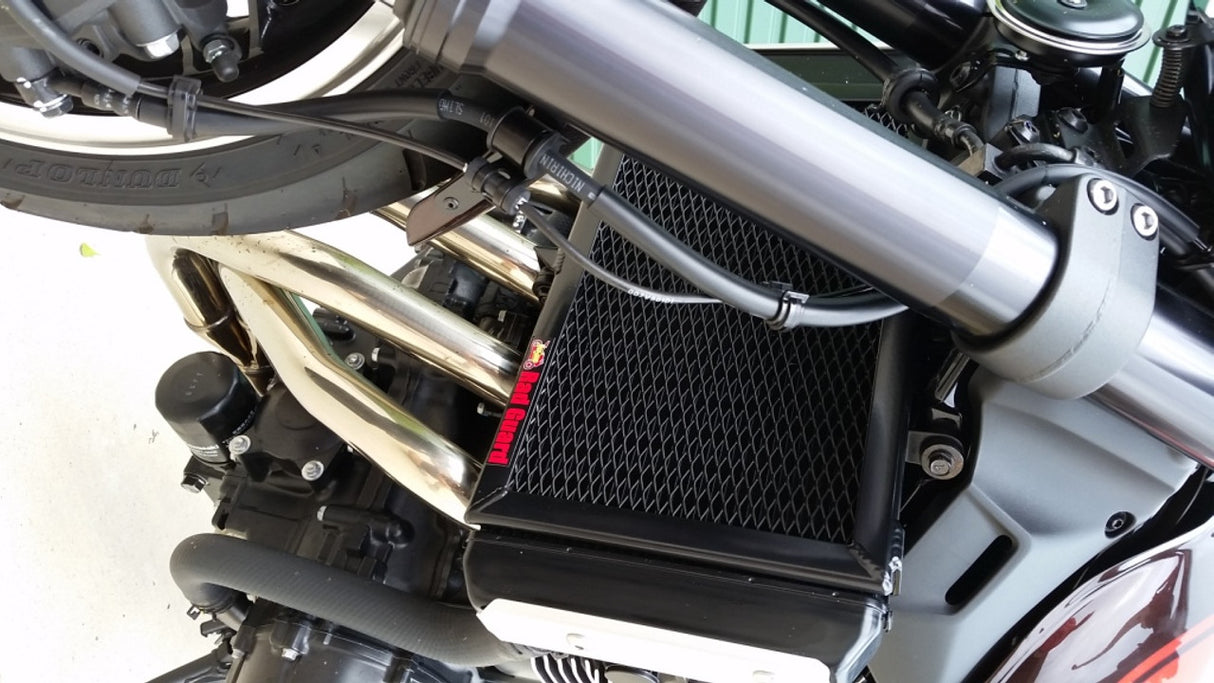 Kawasaki Z900 RS 2018-2020 Radiator Guard
