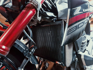 Kawasaki Z800 2013-2017 Radiator Guard