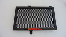 Load image into Gallery viewer, BMW F700GS 2013-2018 Radiator Guard Grill
