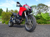 Ducati Multistrada 950 Radiator & Oil Cooler Guard All Models 2017-2023