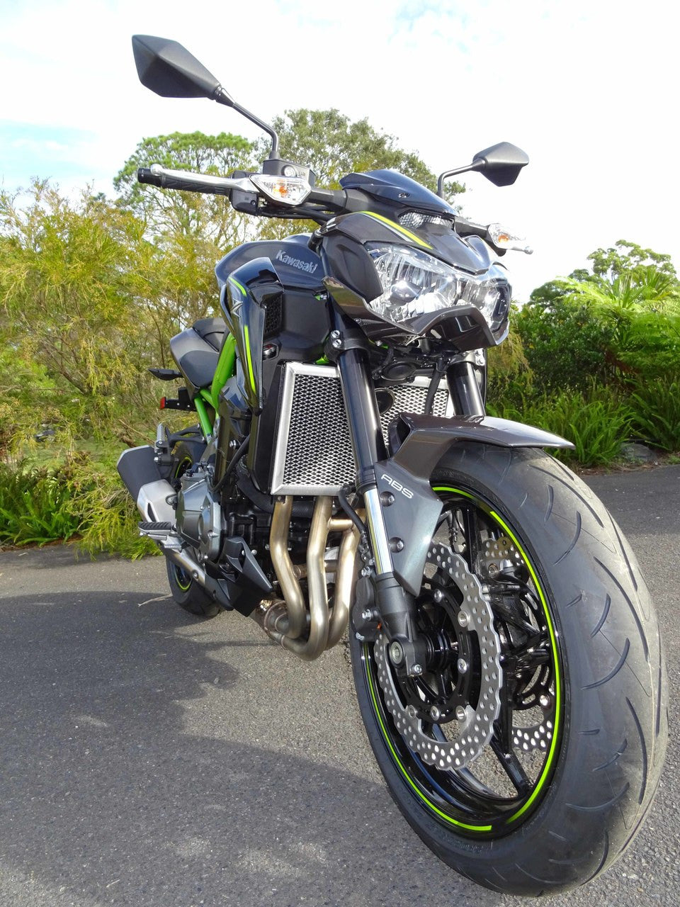 Kawasaki Z900 2017-2023 Radiator Guard