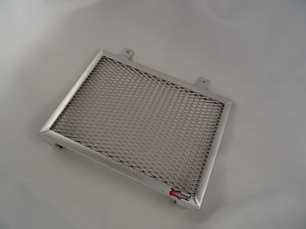 BMW G310 GS 2017-2023 Radiator Guard