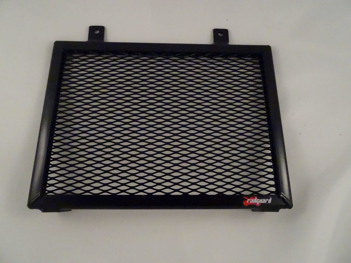 BMW G310 GS 2017-2023 Radiator Guard