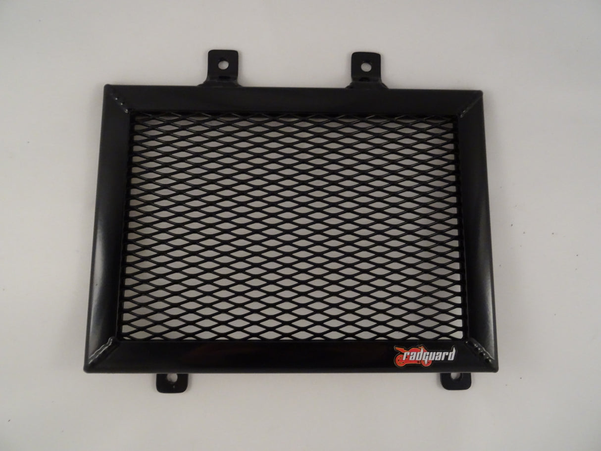 Husqvarna 401 Svartpilon/Vitpilen 2018-2021 Radiator Guard