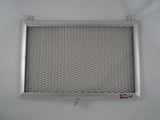 Kawasaki Z900 2017-2023 Radiator Guard