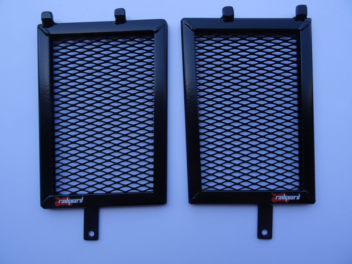 BMW R1250GS 2019-2023 Radiator Guard