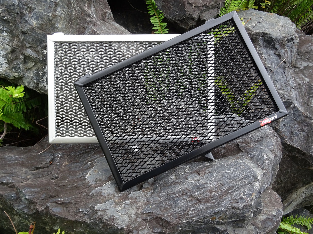 Kawasaki Versys 1000 SE 2019-2023 Radiator Guard