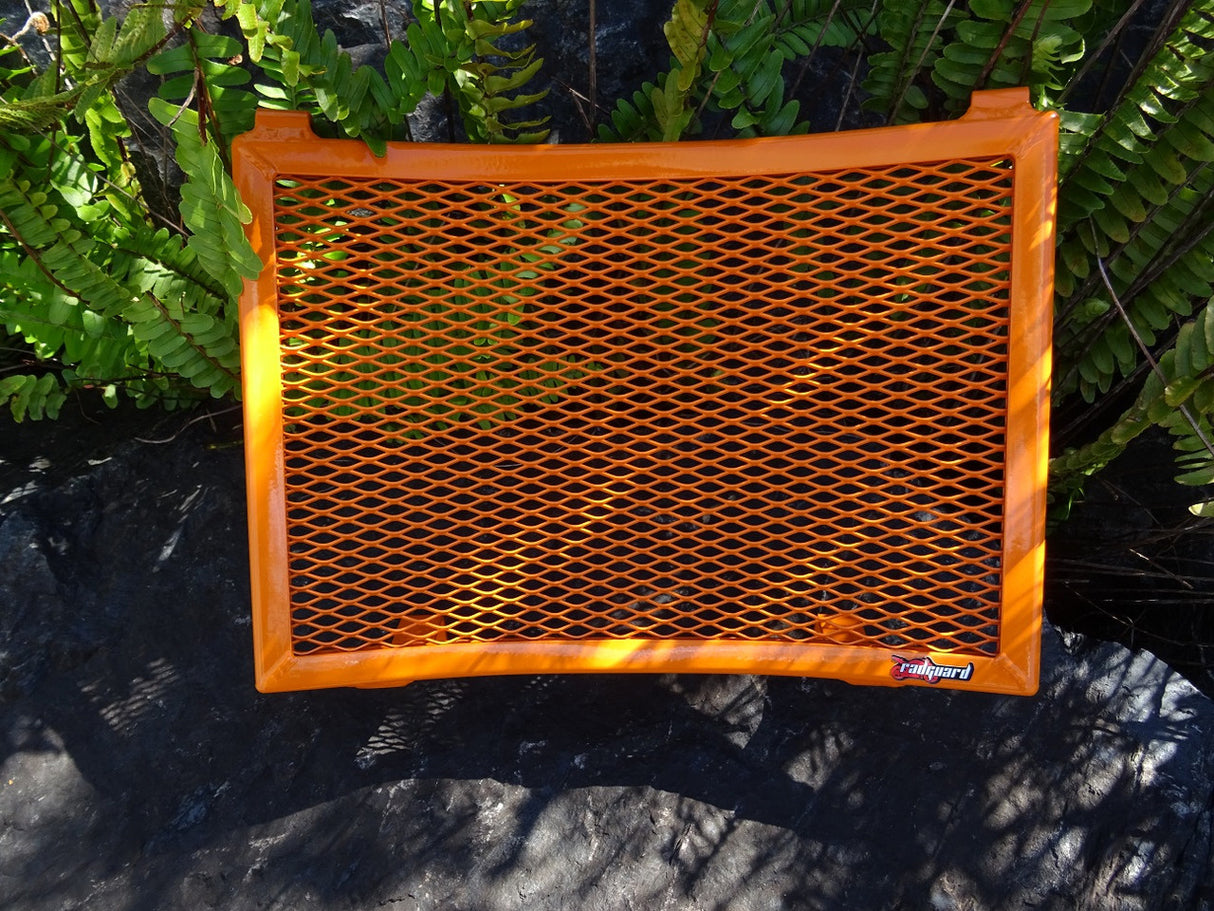 KTM 890 Duke R / GP 2020-2023 Radiator Guard
