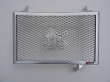Load image into Gallery viewer, Ducati Monster 2021-23 Radiator Guard