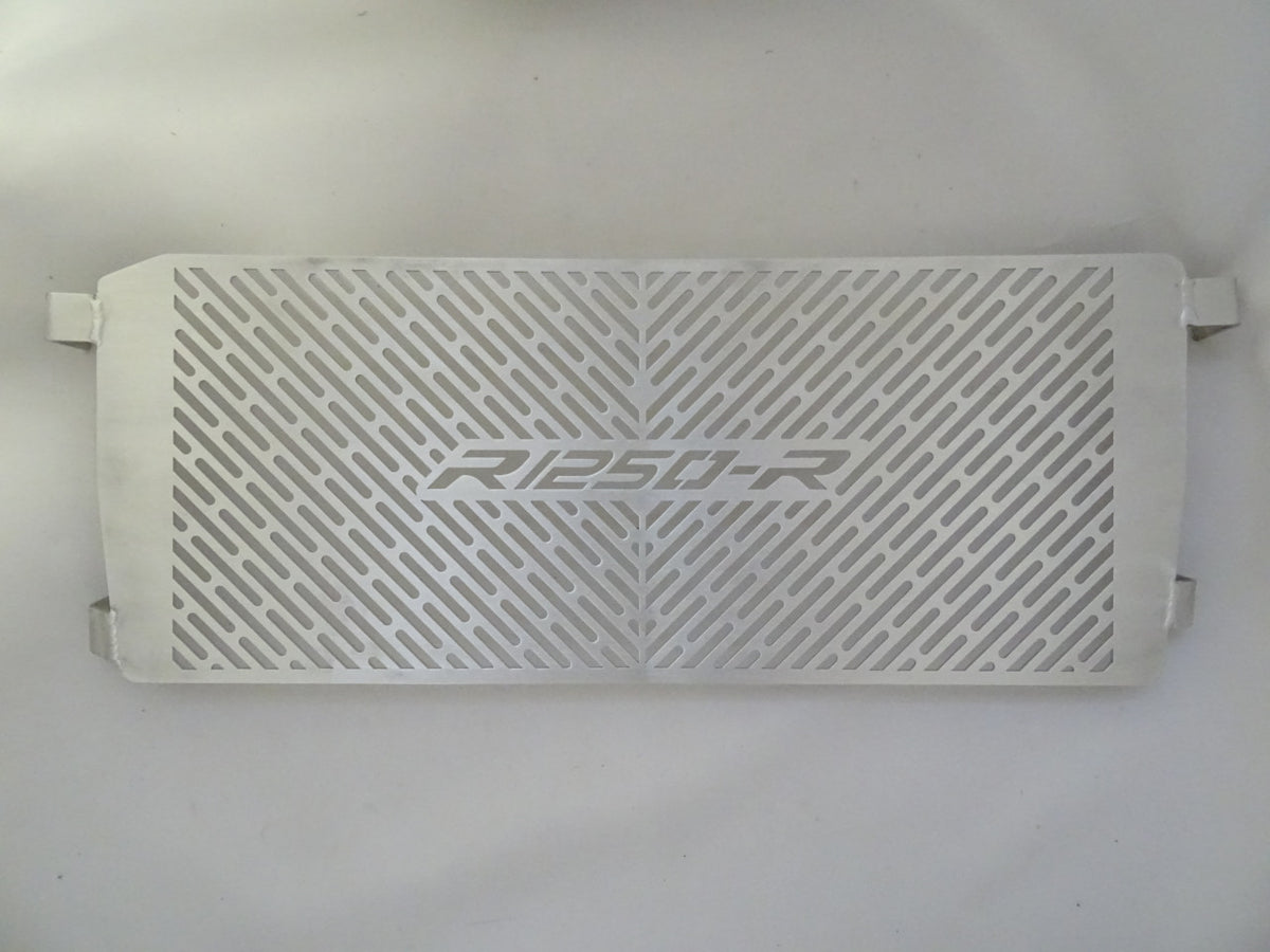 BMW R1250 RS 2019-2023 Radiator Guard – Adventure On Store