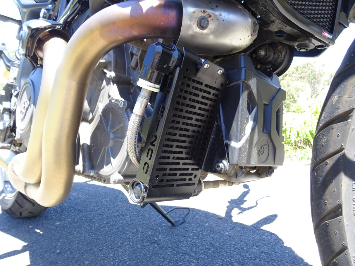 Indian FTR 1200 / S / Rally / R Carbon 2019-2025 Radiator Guard & Oil Guard Set