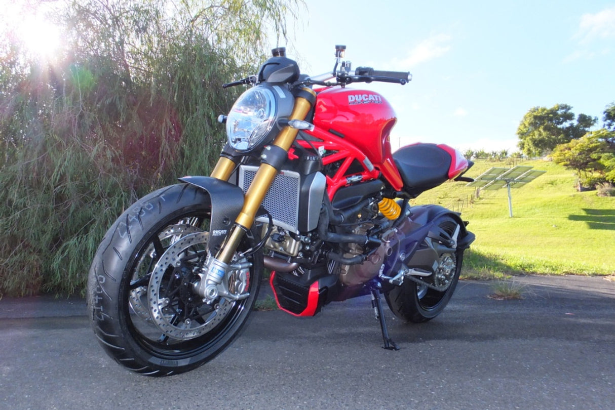 Ducati Monster 1200 / S / R 2014-2023 Radiator Guard