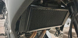 Kawasaki Versys 650 ABS / L ABS 2015-2023 Radiator Guard