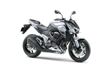 Kawasaki Z800 2013-2017 Radiator Guard